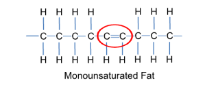 MonoUnSaturatedFats